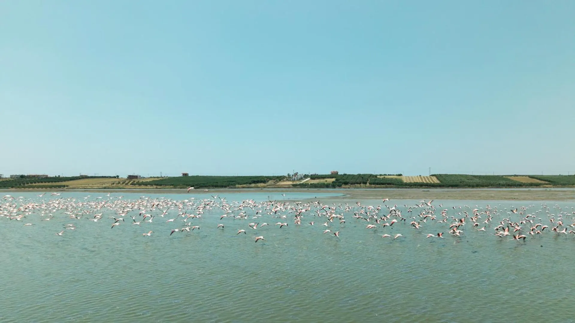 Flamingo Living Halkidiki - The Villas Agios Mamas  0*, Agios Mamas (Chalkidiki)