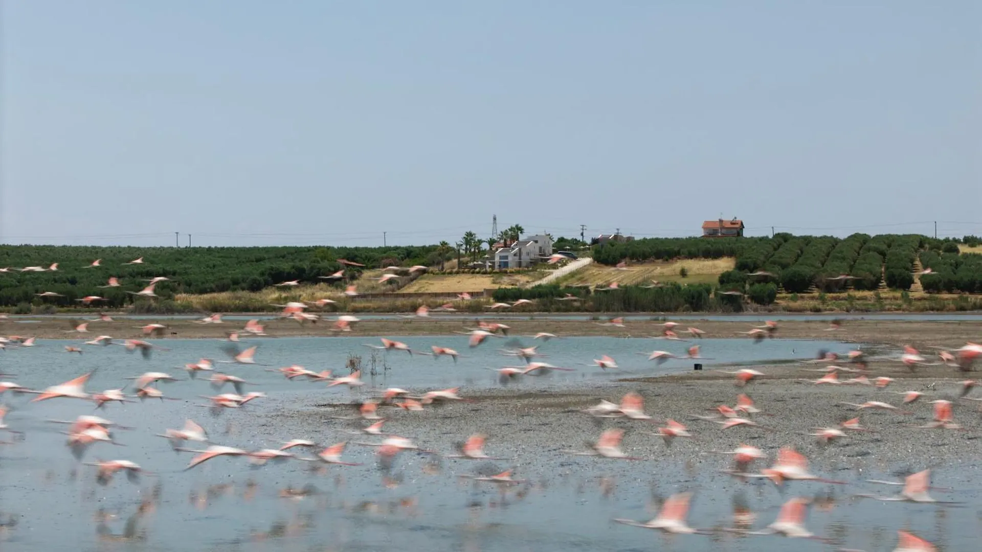 Flamingo Living Halkidiki - The Villas Agios Mamas  Yunanistan