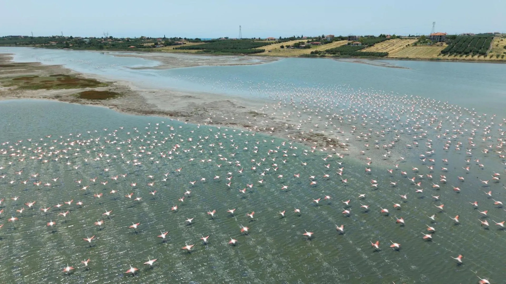 Flamingo Living Halkidiki - The Villas Agios Mamas  0*, Agios Mamas (Chalkidiki) Grecia
