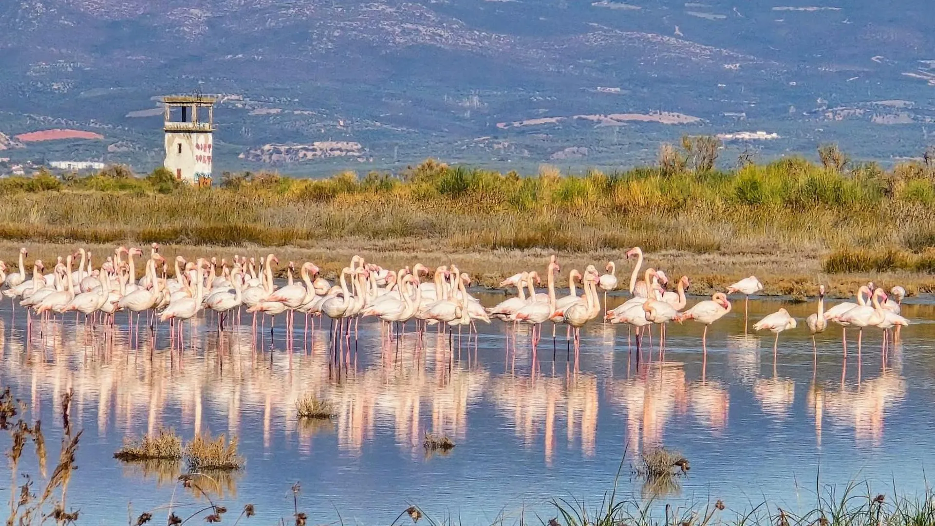 איוס מאמס Flamingo Living Halkidiki - The Villas 0*, איוס מאמס יוון